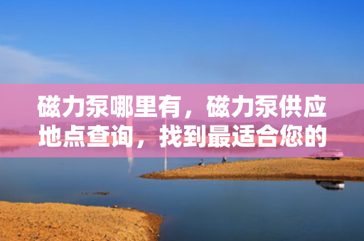 磁力泵哪里有，磁力泵供应地点查询，找到最适合您的磁力泵供应商