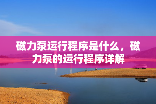 磁力泵运行程序是什么，磁力泵的运行程序详解