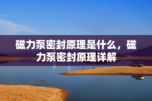 磁力泵密封原理是什么，磁力泵密封原理详解
