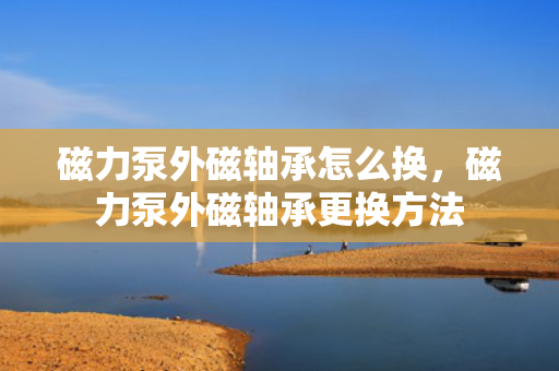 磁力泵外磁轴承怎么换，磁力泵外磁轴承更换方法