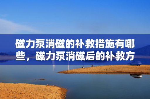 磁力泵消磁的补救措施有哪些，磁力泵消磁后的补救方法详解