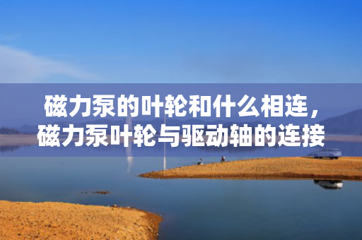 磁力泵的叶轮和什么相连，磁力泵叶轮与驱动轴的连接方式解析