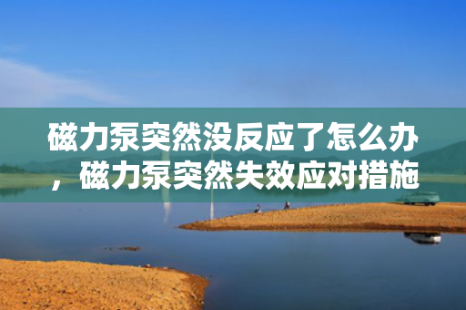 磁力泵突然没反应了怎么办，磁力泵突然失效应对措施