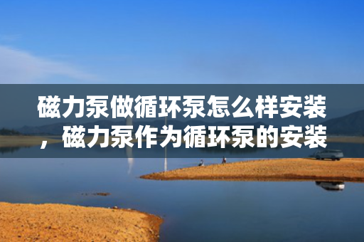磁力泵做循环泵怎么样安装，磁力泵作为循环泵的安装指南