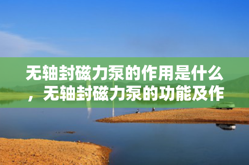 无轴封磁力泵的作用是什么，无轴封磁力泵的功能及作用解析