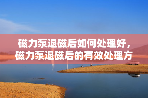 磁力泵退磁后如何处理好，磁力泵退磁后的有效处理方法