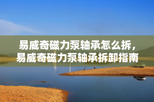 易威奇磁力泵轴承怎么拆，易威奇磁力泵轴承拆卸指南