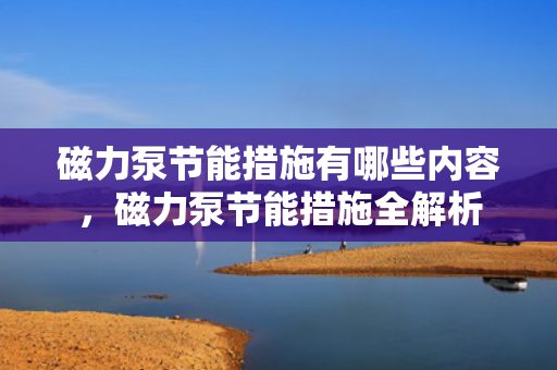 磁力泵节能措施有哪些内容，磁力泵节能措施全解析