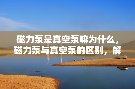 磁力泵是真空泵嘛为什么，磁力泵与真空泵的区别，解析磁力泵并非真空泵的原因