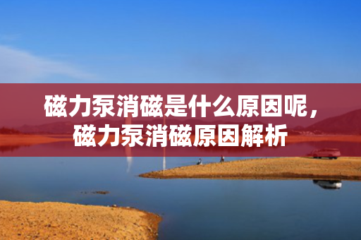 磁力泵消磁是什么原因呢，磁力泵消磁原因解析