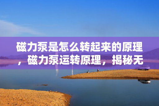 磁力泵是怎么转起来的原理，磁力泵运转原理，揭秘无接触动力传输的奥秘