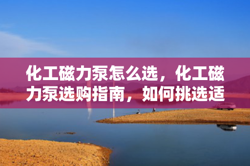 化工磁力泵怎么选，化工磁力泵选购指南，如何挑选适合的磁力泵