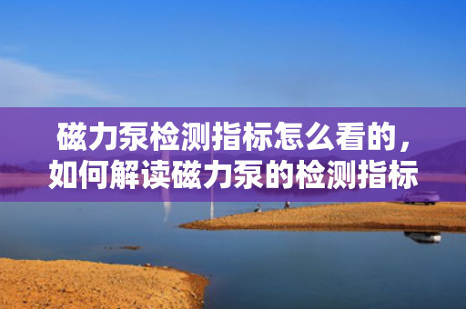 磁力泵检测指标怎么看的，如何解读磁力泵的检测指标？