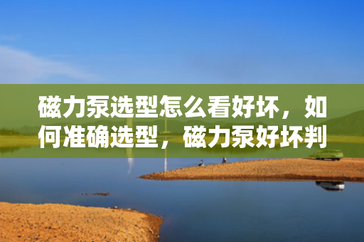 磁力泵选型怎么看好坏，如何准确选型，磁力泵好坏判断指南