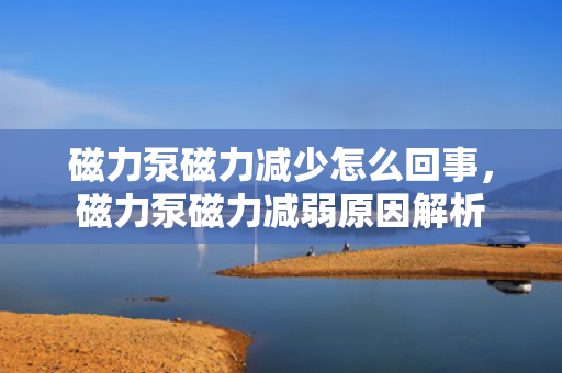 磁力泵磁力减少怎么回事，磁力泵磁力减弱原因解析