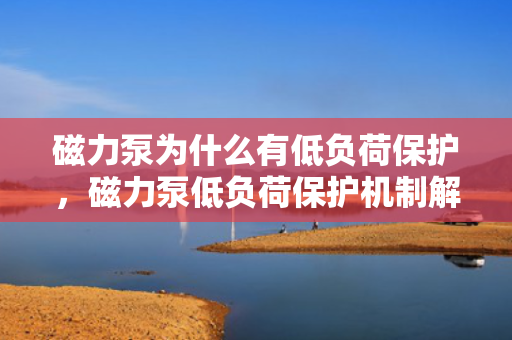磁力泵为什么有低负荷?；ぃ帕Ρ玫透汉杀；せ平馕? title=