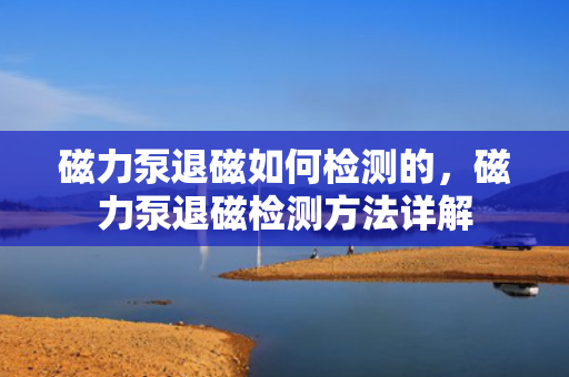 磁力泵退磁如何检测的，磁力泵退磁检测方法详解