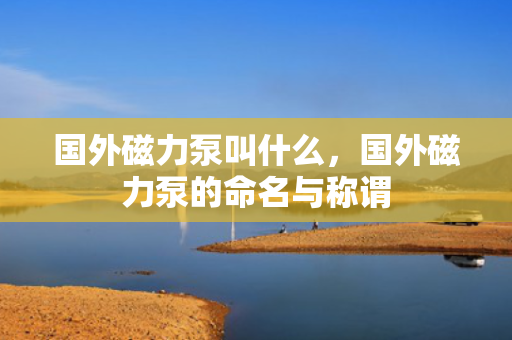 国外磁力泵叫什么，国外磁力泵的命名与称谓