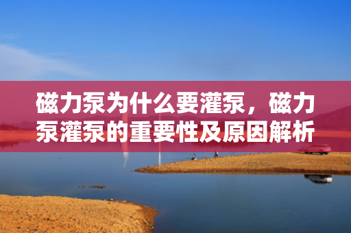 磁力泵为什么要灌泵，磁力泵灌泵的重要性及原因解析