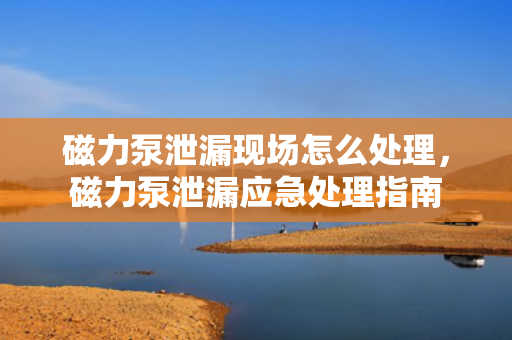 磁力泵泄漏现场怎么处理，磁力泵泄漏应急处理指南