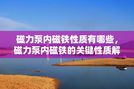 磁力泵内磁铁性质有哪些，磁力泵内磁铁的关键性质解析