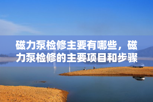 磁力泵检修主要有哪些，磁力泵检修的主要项目和步骤