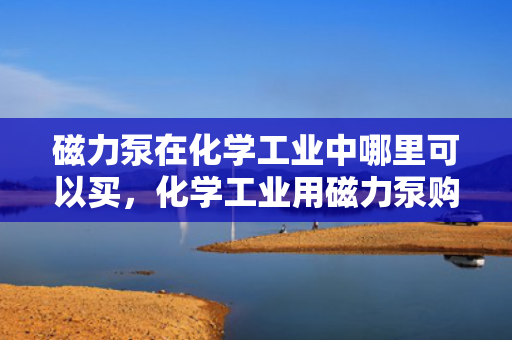 磁力泵在化学工业中哪里可以买，化学工业用磁力泵购买指南，哪里可以获取高质量设备