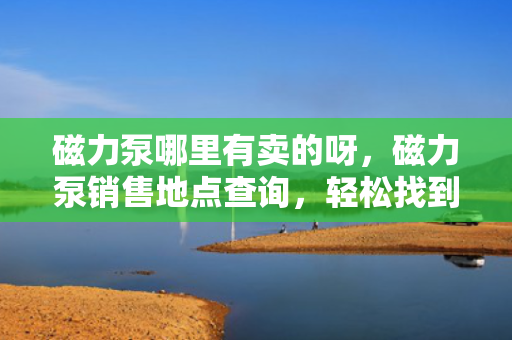 磁力泵哪里有卖的呀，磁力泵销售地点查询，轻松找到购买渠道
