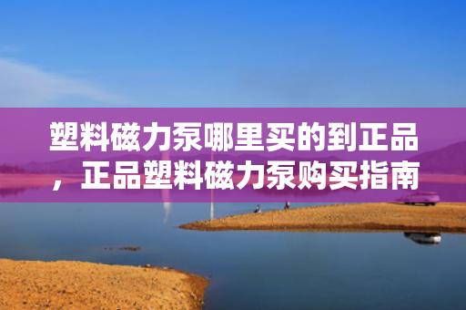 塑料磁力泵哪里买的到正品，正品塑料磁力泵购买指南，找到可信赖的购买渠道