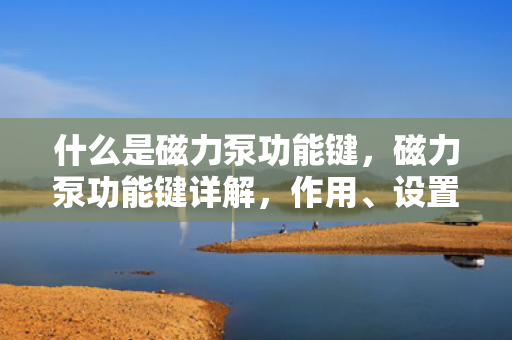什么是磁力泵功能键，磁力泵功能键详解，作用、设置与操作指南