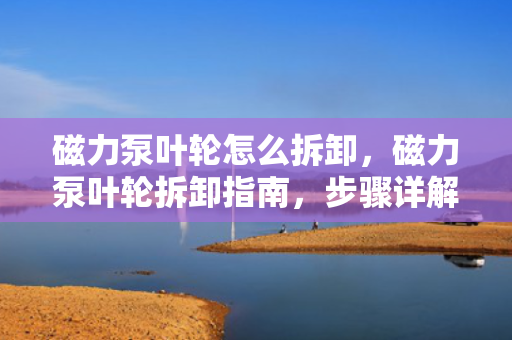 磁力泵叶轮怎么拆卸，磁力泵叶轮拆卸指南，步骤详解与注意事项
