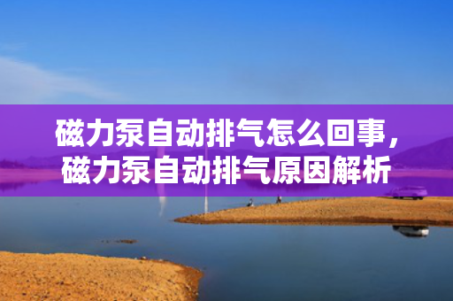 磁力泵自动排气怎么回事，磁力泵自动排气原因解析