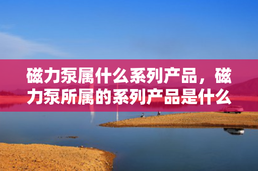磁力泵属什么系列产品，磁力泵所属的系列产品是什么？