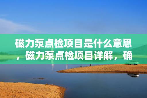 磁力泵点检项目是什么意思，磁力泵点检项目详解，确保设备正常运行的关键检查步骤