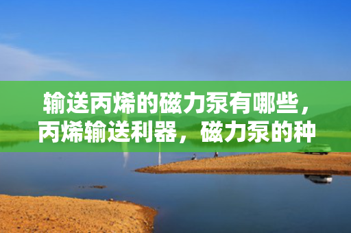 输送丙烯的磁力泵有哪些，丙烯输送利器，磁力泵的种类与应用
