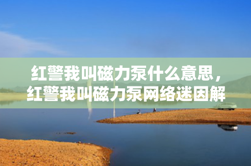 红警我叫磁力泵什么意思，红警我叫磁力泵网络迷因解析