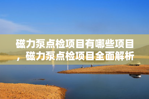 磁力泵点检项目有哪些项目，磁力泵点检项目全面解析