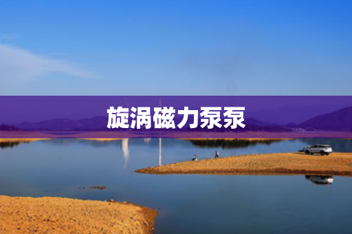 旋涡磁力泵泵