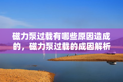 磁力泵过载有哪些原因造成的，磁力泵过载的成因解析