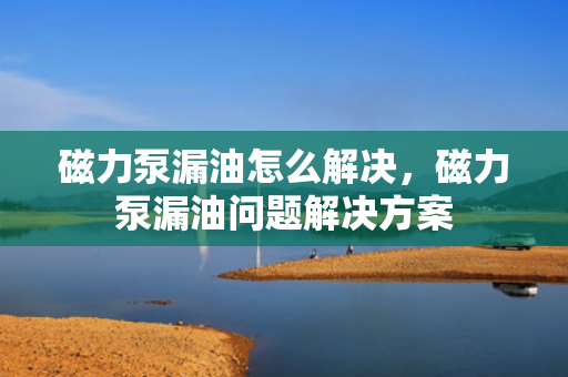 磁力泵漏油怎么解决，磁力泵漏油问题解决方案