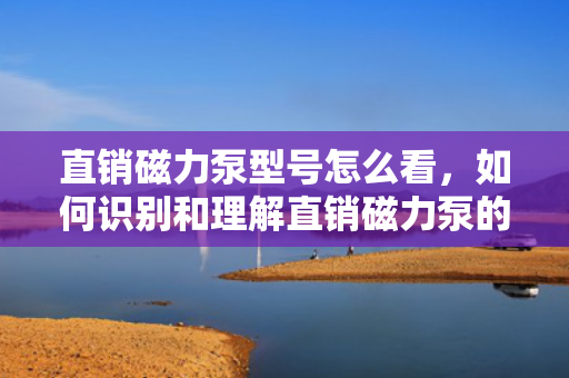 直销磁力泵型号怎么看，如何识别和理解直销磁力泵的型号