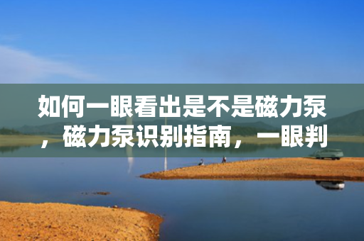 如何一眼看出是不是磁力泵，磁力泵识别指南，一眼判断是否为磁力泵的方法