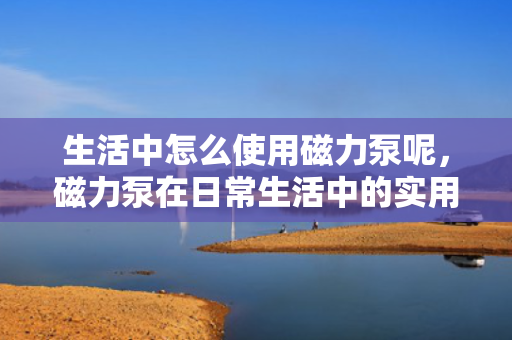 生活中怎么使用磁力泵呢，磁力泵在日常生活中的实用指南
