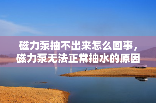 磁力泵抽不出来怎么回事，磁力泵无法正常抽水的原因及解决方法