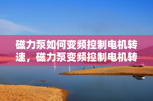 磁力泵如何变频控制电机转速，磁力泵变频控制电机转速的方法与实现