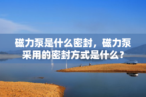磁力泵是什么密封，磁力泵采用的密封方式是什么？