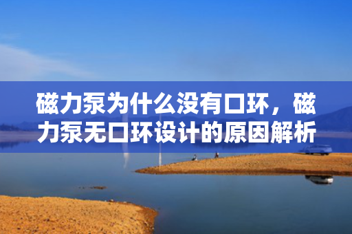 磁力泵为什么没有口环，磁力泵无口环设计的原因解析