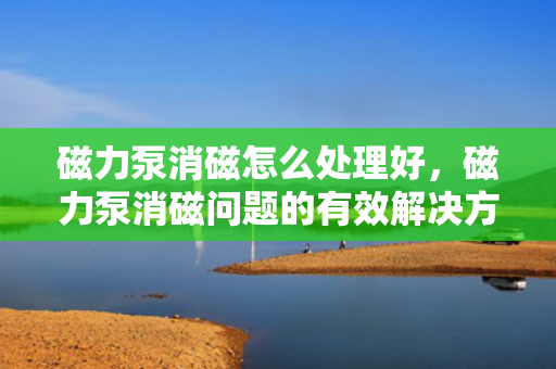 磁力泵消磁怎么处理好，磁力泵消磁问题的有效解决方法