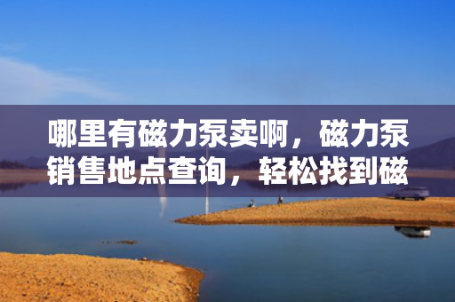 哪里有磁力泵卖啊，磁力泵销售地点查询，轻松找到磁力泵购买渠道