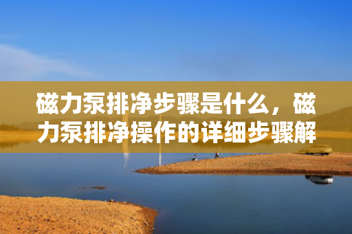 磁力泵排净步骤是什么，磁力泵排净操作的详细步骤解析